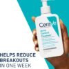 CeraVe Face Wash Acne Treatment Salicylic Acid Cleanser with Purifying Clay for Oily Skin Blackhead Remover and Clogged Pore Control 8 Ounce, multi, 8 Fl Oz, 237 ml